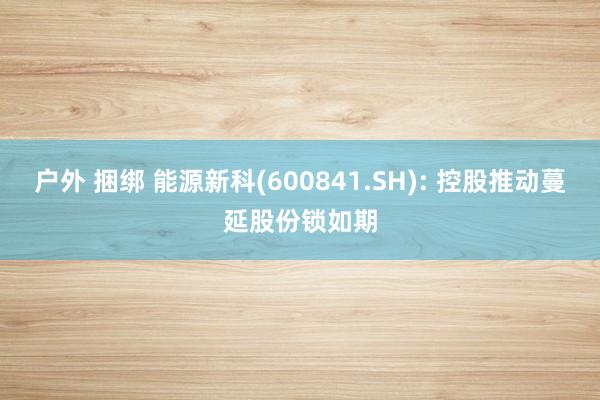 户外 捆绑 能源新科(600841.SH): 控股推动蔓延股份锁如期