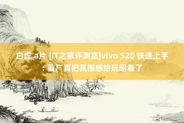 白虎 a片 [IT之家评测室]vivo S20 快速上手: 蓝厂真把氛围感给玩昭着了